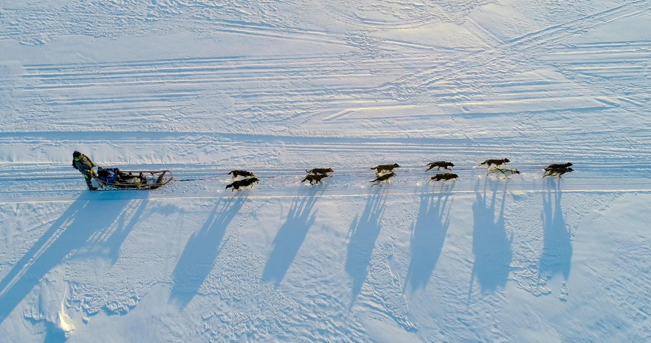 Seasonal Adventures in Finland’s Wilderness Guide for Every Traveler