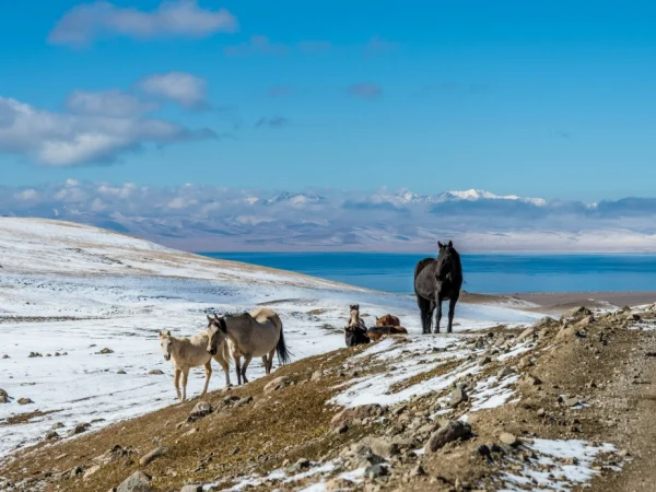 Hiking Trails and Hidden Gems in Kyrgyzstan for Adventure Seekers