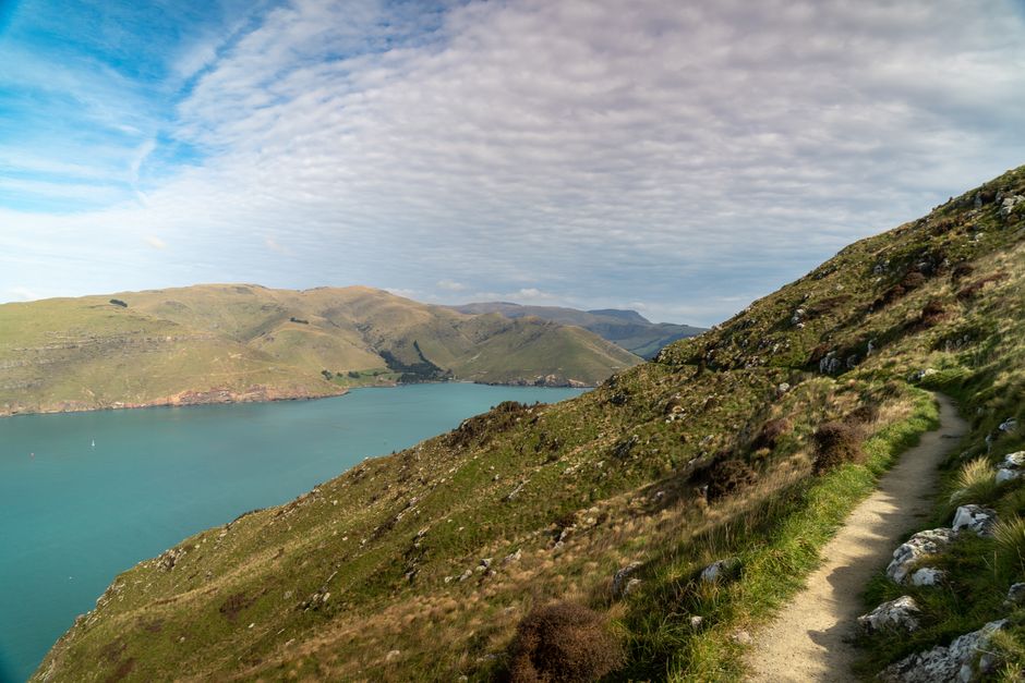 Explore the pristine beauty of Lyttelton Harbor, Canterbury, with its rugged hills and tranquil waters.