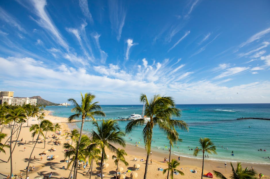 Idyllic tropical beach with palm trees, clear turquoise water, and a vibrant summer sky.