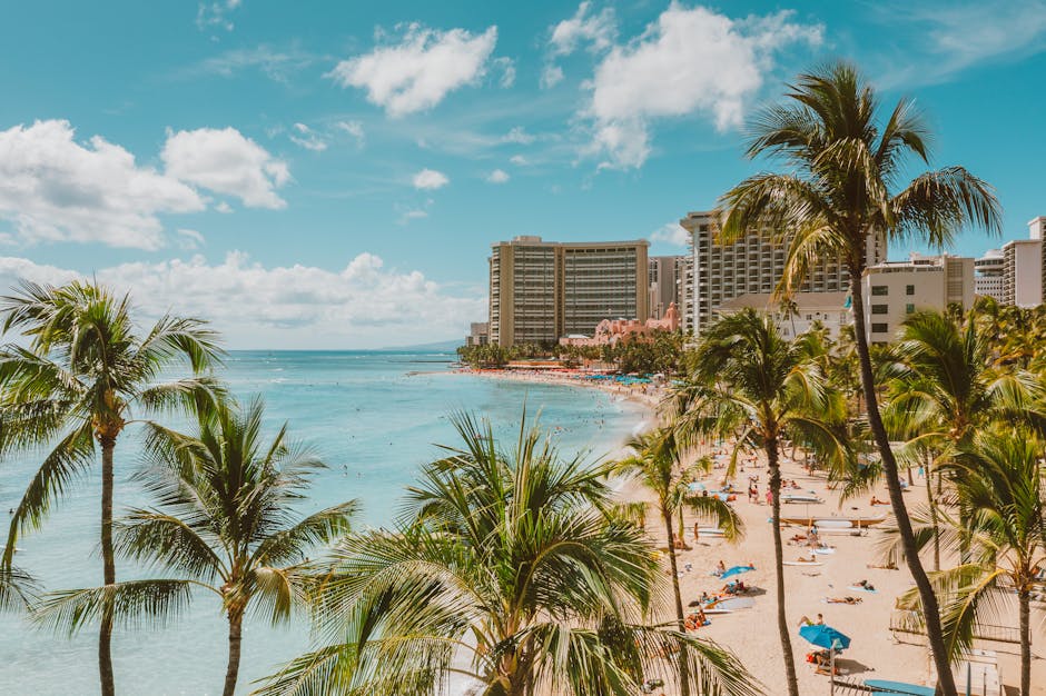 Stunning beach view with coconut trees, clear ocean, and a vibrant resort skyline.