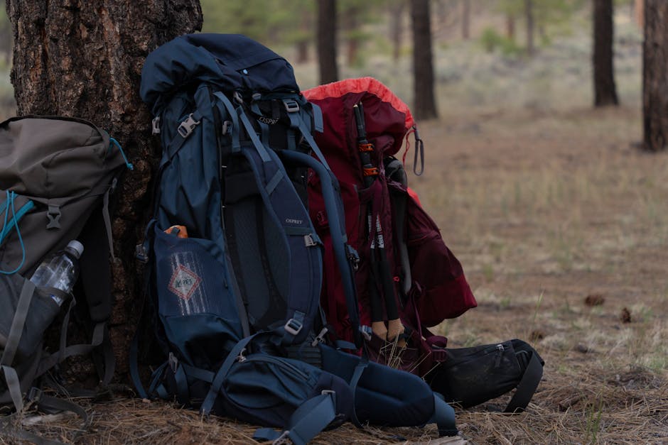 Adventure backpacks leaning against a tree in a peaceful forest campsite, ideal for hiking trips.