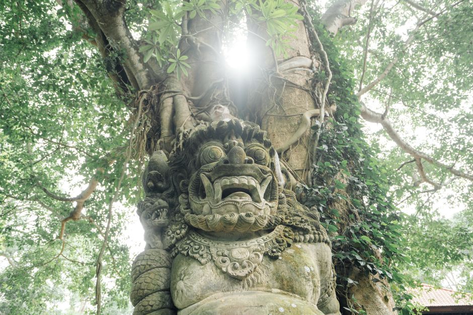 From below sculpture of ancient idol and mythical creature covered with green moss and located near tall tree in tropical forest