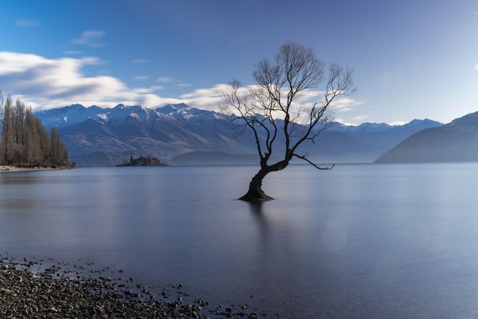 Tranquil view of Lake Wānaka with its famous lone tree and backdrop of snow-capped mountains.