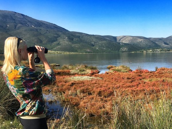 A Birdwatcher’s Paradise: Vlorë, Albania