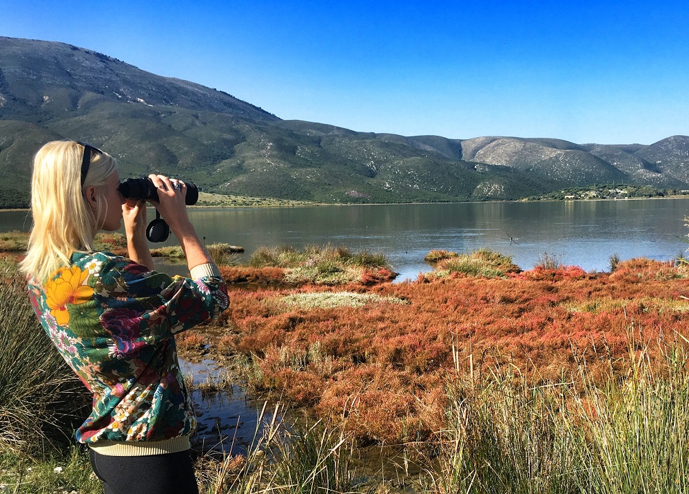 A Birdwatcher’s Paradise: Vlorë, Albania