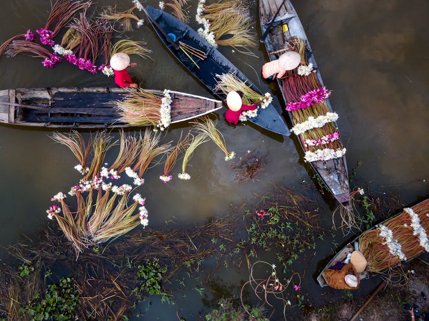 Aerial shot of traditional boats adorned with flowers on a tranquil river.
