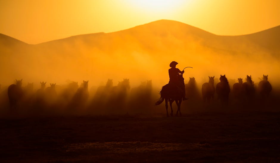 A cowboy herding horses across dusty hills at sunset, casting dramatic silhouettes.