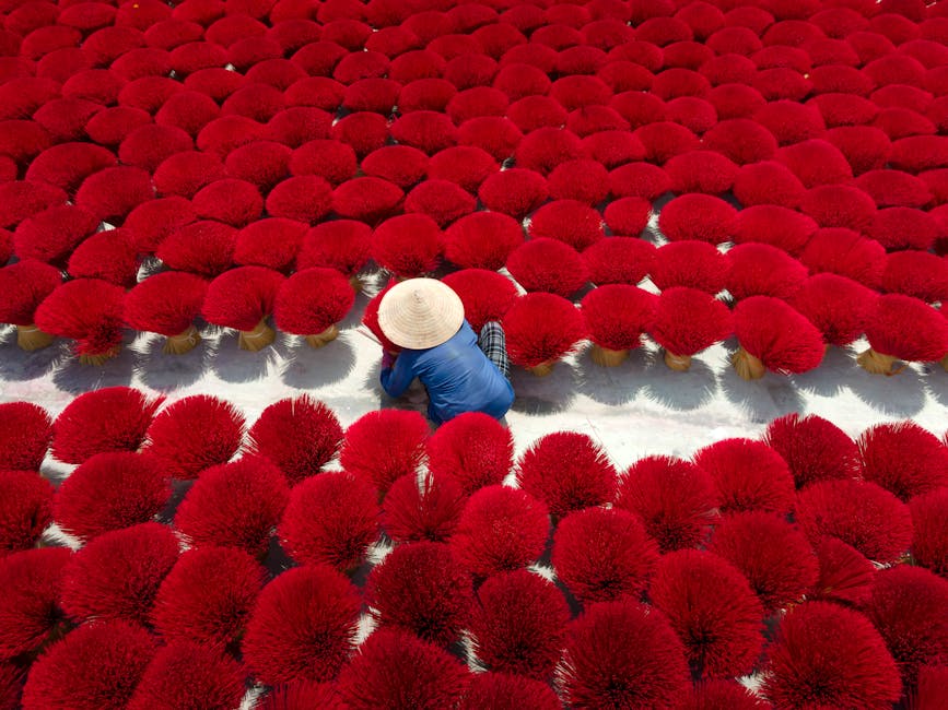 A woman arranges vibrant red incense sticks outdoors in Vietnam.