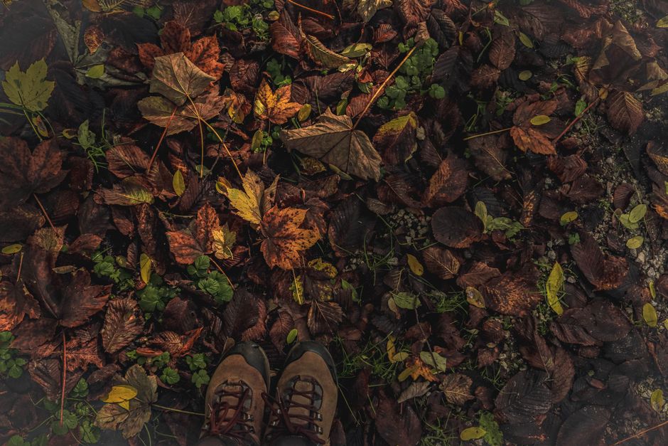 Hiking boots amidst vibrant fallen autumn leaves, capturing fall's essence. Ideal for nature and outdoor themes.