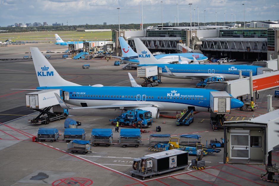 Multiple KLM aircraft at Amsterdam Schiphol Airport terminal with blue ground support equipment.